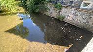 Dürre Coburg:  kein Wasser aus Bächen und Flüssen nehmen