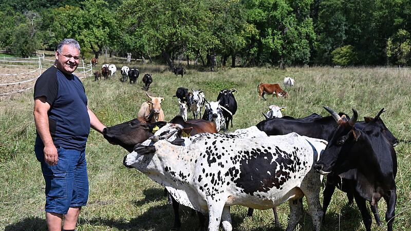 Zebuhof Gath in WeilersbachForchheim & Fr&auml;nkische Schweiz