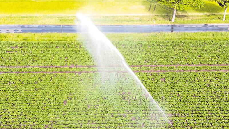 Wasser wird zum raren Gut: Ein Wassersprenger bew&auml;ssert ein Feld nahe Hannover.    