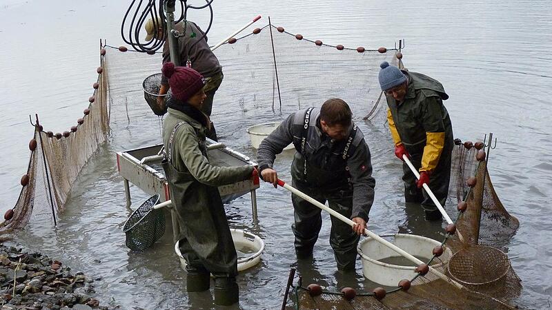 Diana (links, mit roter Mütze) ackert genauso schwer wie die Jungs. Diana (links, mit roter Mütze) ackert genauso schwer wie die Jungs.