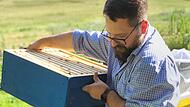 Bohdan öffnet den Bienenstock