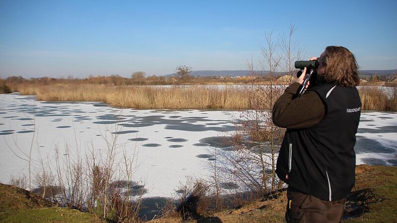 Helmut Schmitt h&auml;lt Ausschau. Der Schilfg&uuml;rtel vor ihm bietet Wasserv&ouml;gel idealen Lebensraum.Forchheim & Fr&auml;nkische Schweiz