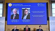 Nobelpreis f&uuml;r Wirtschaftswissenschaften