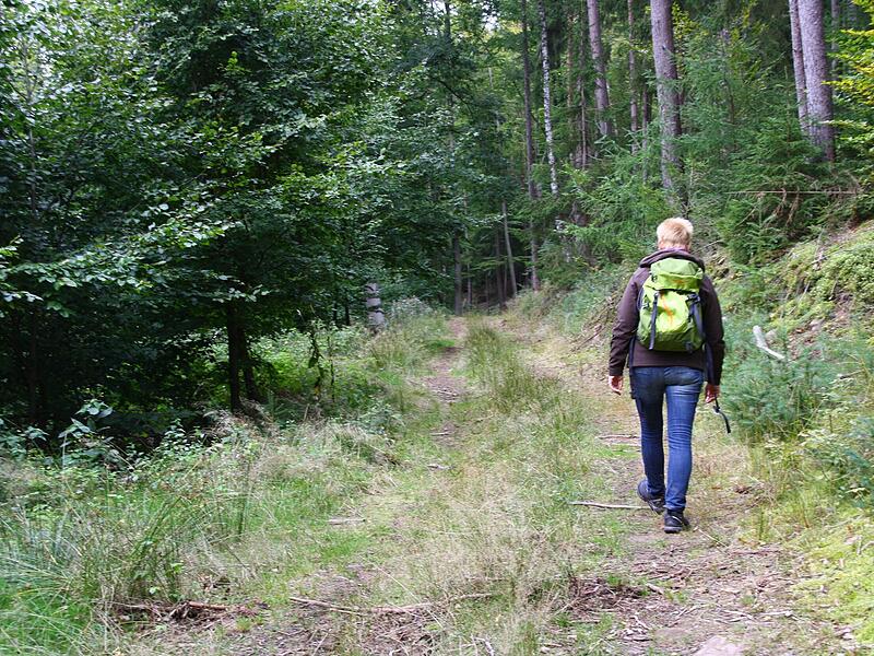 Wandern auf den Frankenwald-Steigla