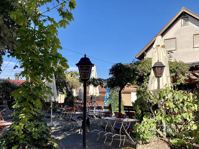 Zur Schnitzelstube in Triebsdorf gehört auch ein Biergarten. Zur Schnitzelstube in Triebsdorf gehört auch ein Biergarten.