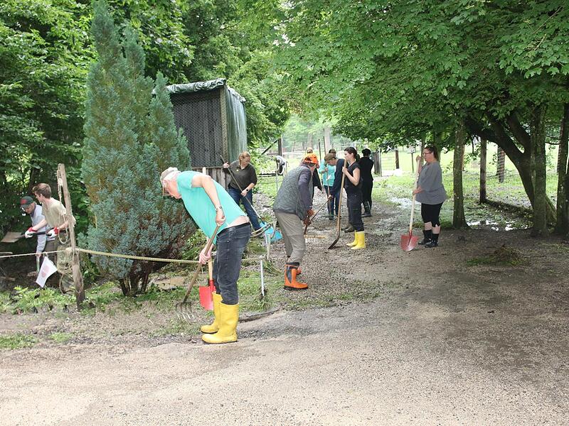 Wege und Gehege wurden auf Vordermann gebracht.