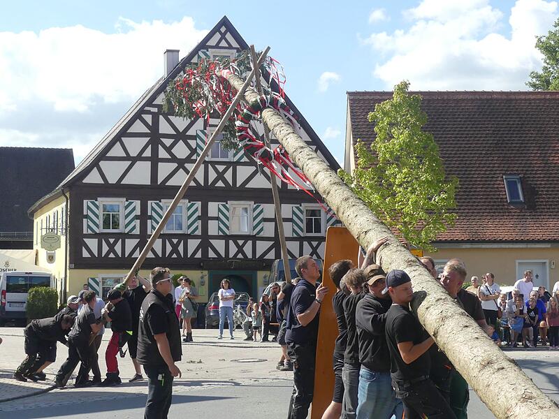 Die Nachwuchs-Ortsburschen und -madle  stellen ihren Baum auf.