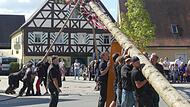 Die Nachwuchs-Ortsburschen und -madle  stellen ihren Baum auf.