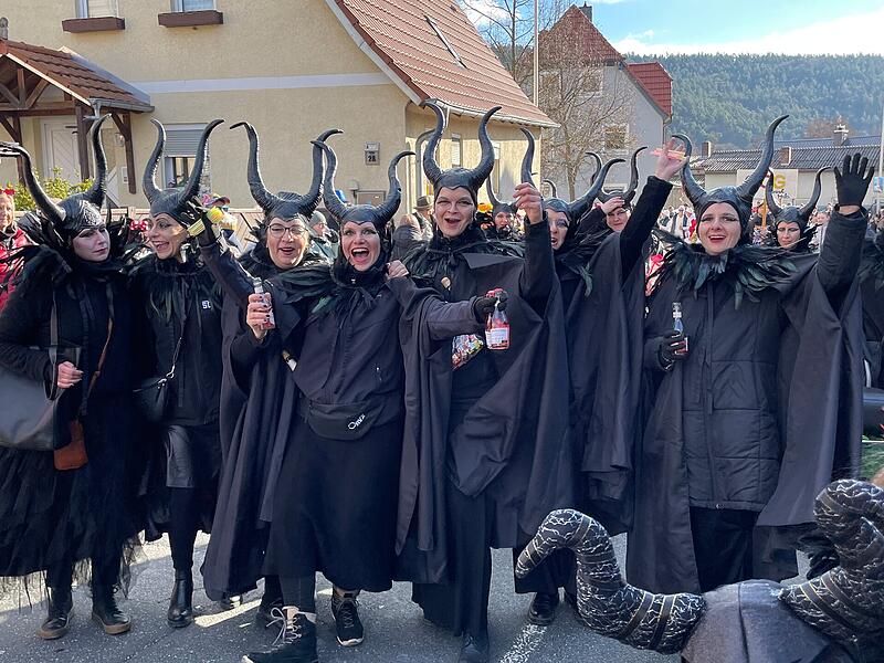 Faschingsumzug in Steinach am 15. Februar 2026Faschingsumzug in Steinach am 15. Februar 2026 Faschingsumzug in Steinach am 15. Februar 2026Faschingsumzug in Steinach am 15. Februar 2026