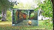 Im „Fotopark-Forchheim“ sollen sechs Wochen lang die Bilder von internationalen und lokalen Fotografen ausgestellt werden – und das im übergroßen Format.