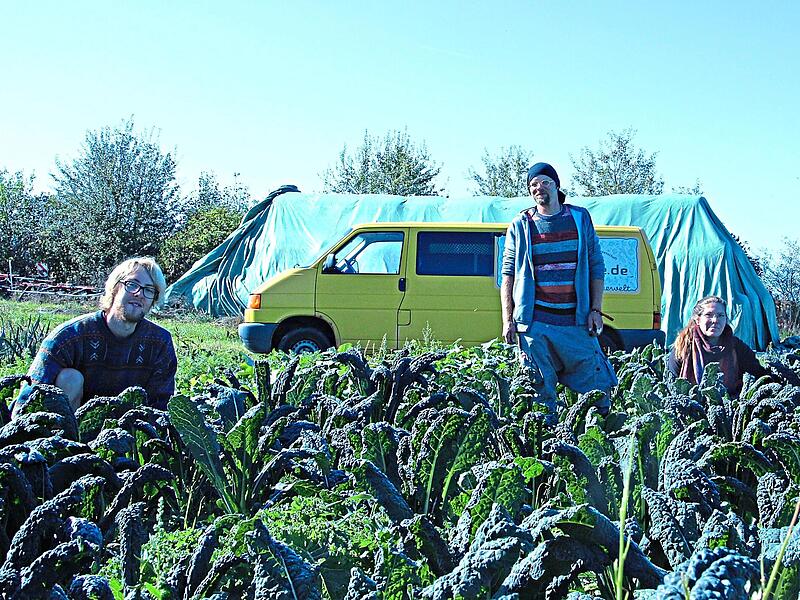 Lennart Bruns, Philipp Müller und Julia Tippelt (v.l) sind Gemüsegärtner mit Leidenschaft. Hier freuen sie sich über prächtigen Schwarzkohl.R. Popp Lennart Bruns, Philipp Müller und Julia Tippelt (v.l) sind Gemüsegärtner mit Leidenschaft. Hier freuen sie sich über prächtigen Schwarzkohl.R. Popp