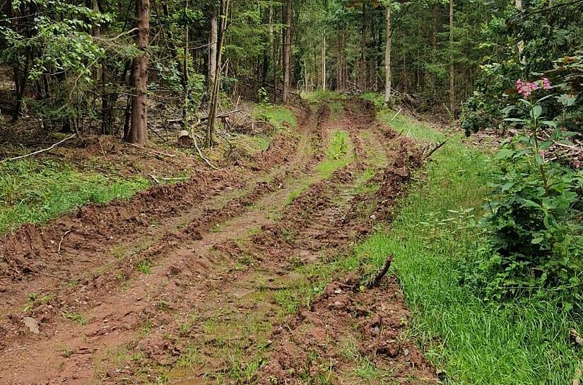 Einer der beiden Waldwege von Burggrub in Richtung Stockheim der bei Holzrückarbeiten stark demoliert wurde. Für die Feuerwehr gibt es bei Waldbrand keine Chance einzugreifen. Schnelle Abhilfe wäre geboten, aber seit Wochen tut sich in dieser Ange...