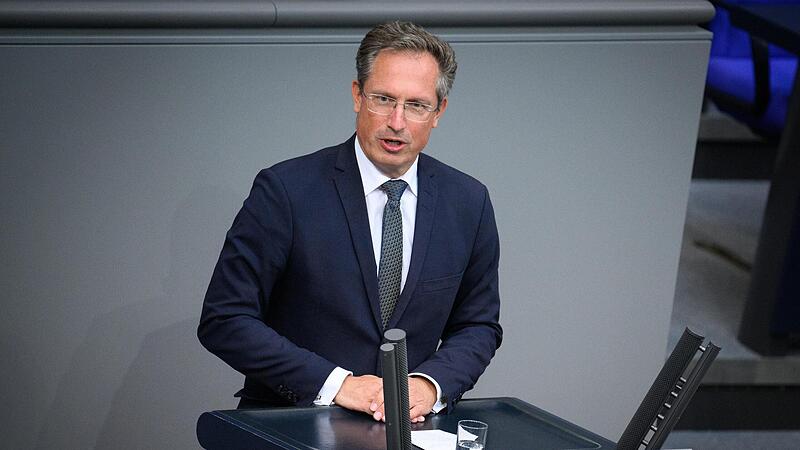 Stephan Thomae (FDP).