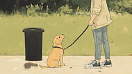 Ein Hund kotet in einem Park ab. Sein Besitzer lässt den Haufen liegen. Auch in der Coburger Innenstadt ist das kein seltenes Phänomen mehr.