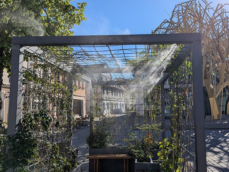 Die Sonnenstrahlen machen den Wassernebel im gr&uuml;nen Zimmer sichtbar.