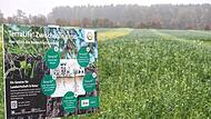 Trinkwasserschutz mit Zwischenfrüchten, Feldversuch in Neustadt