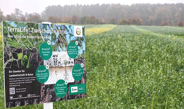 Trinkwasserschutz mit Zwischenfrüchten, Feldversuch in Neustadt Trinkwasserschutz mit Zwischenfrüchten, Feldversuch in Neustadt