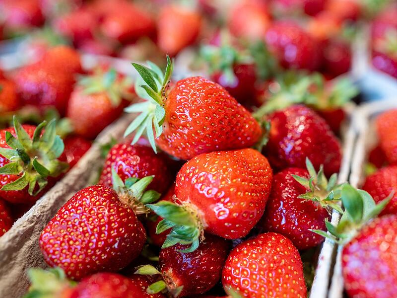 Erdbeeren