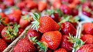 Erdbeeren