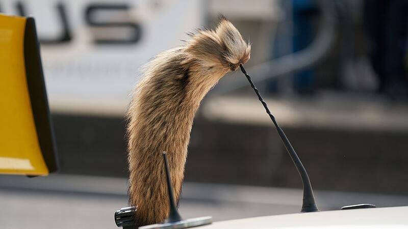 Kult-Opel kommt vorerst nicht zur&uuml;ck