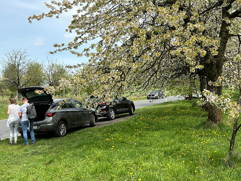 Der Pretzfelder Kirschenweg steht in voller Blütenpracht. Entsprechend viel los war am Samstag auf den Straßen und Wegen in und um Pretzfeld.Ein bisschen Sommer im April - und die Massen stürmen die Fränkische Schweiz Der Pretzfelder Kirschenweg steht in voller Blütenpracht. Entsprechend viel los war am Samstag auf den Straßen und Wegen in und um Pretzfeld.