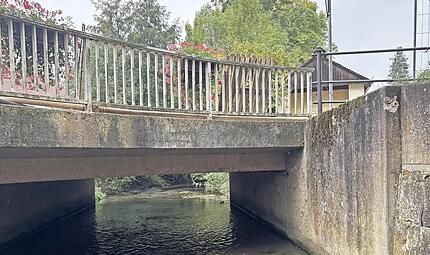 Die Br&uuml;cke &uuml;ber den Leitenbach in Wiesengiech ist eine von vier Br&uuml;cken, die der Kreis in diesem Jahr instand setzen will.