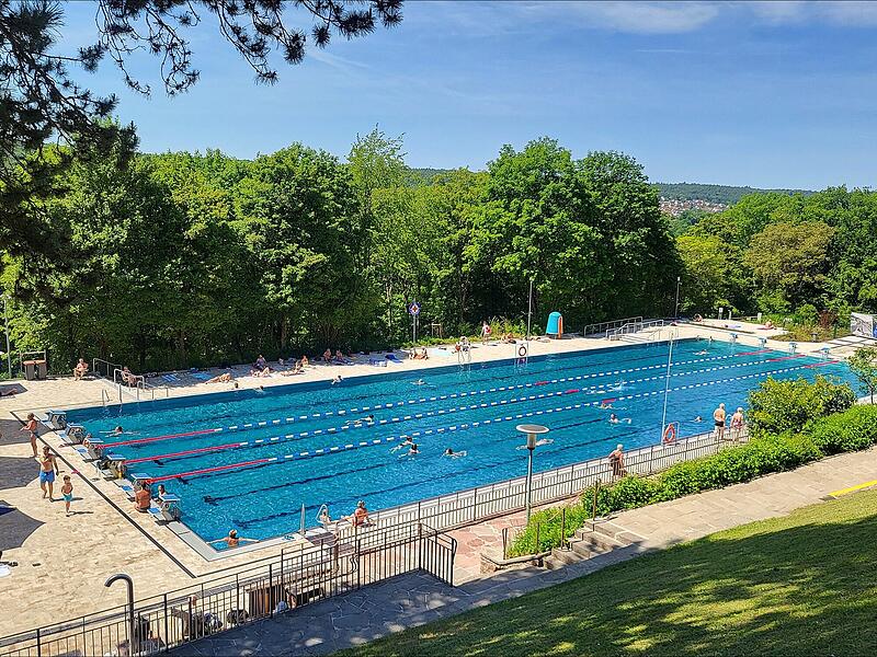 Terrassenschwimmbad Bad Kissingen Platz für Wasserratten: das 50-Meter-Schwimmerbecken in Bad Kissingen