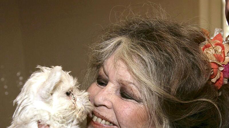 Brigitte Bardot