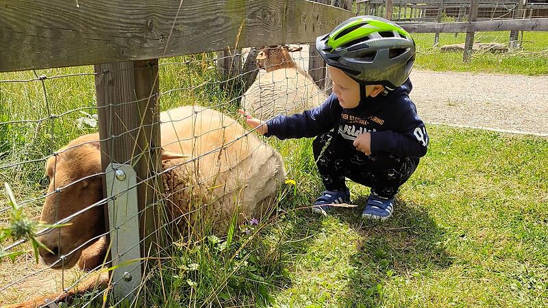 Familie Perlick besuchte in der Vergangenheit gerne das Kleintiergehege im Staatsbad Bad Brückenau. Jetzt ist es nicht mehr da.