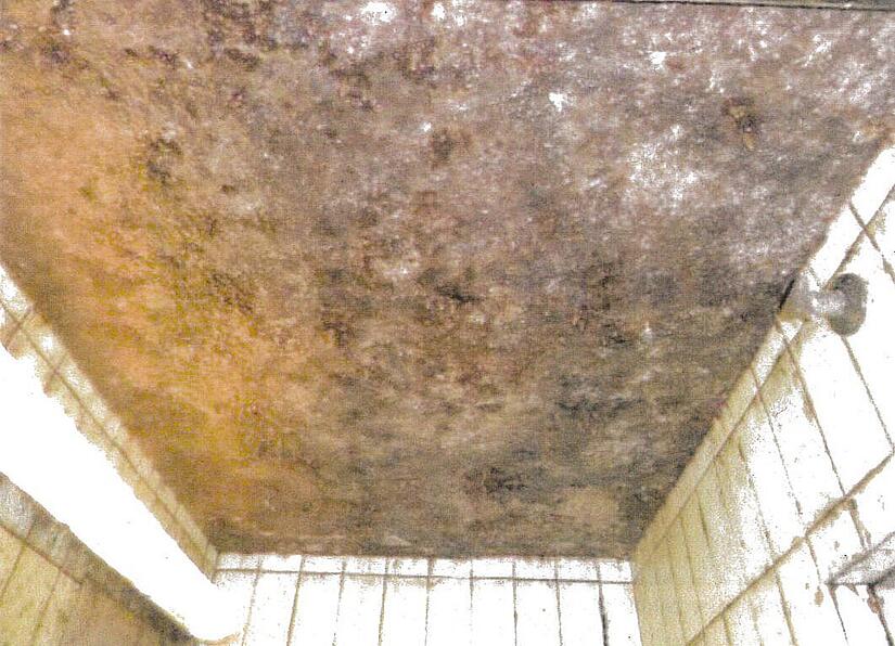 Hygienemängel in Kulmbacher Mälzerei: der verunreinigte Vorbereich der Luftzuführung