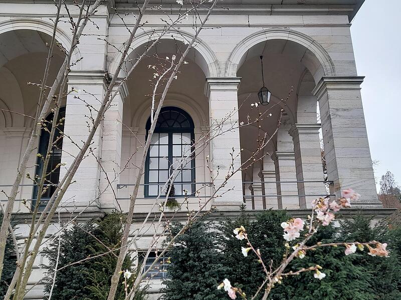 Während im Bad Brückenauer Staatsbad die Gärtner im Schlosspark die Rasenflächen vom gefallenen Laub befreien, beginnen zwei im letzten Jahr gepflanzte Büsche ihre weißen Knospen zu zeigen. „Wie ein Gärtner auf Anfrage erklärte, handelt es sich um eine Kirschart, die in den nächsten kalten Monaten Zweig für Zweig erblüht“, schreibt die Leserin.