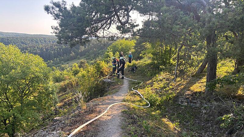 Der Zugang zum Waldbrand bei Machtilshausen gestaltete sich aufgrund der Hanglage schwierig.
