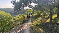 Der Zugang zum Waldbrand bei Machtilshausen gestaltete sich aufgrund der Hanglage schwierig.