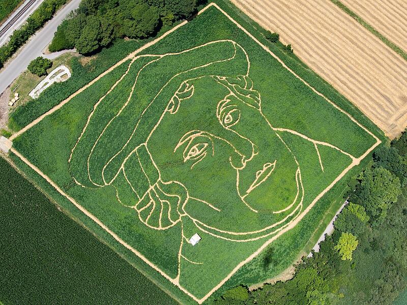 Labyrinth im Maisfeld Labyrinth im Maisfeld