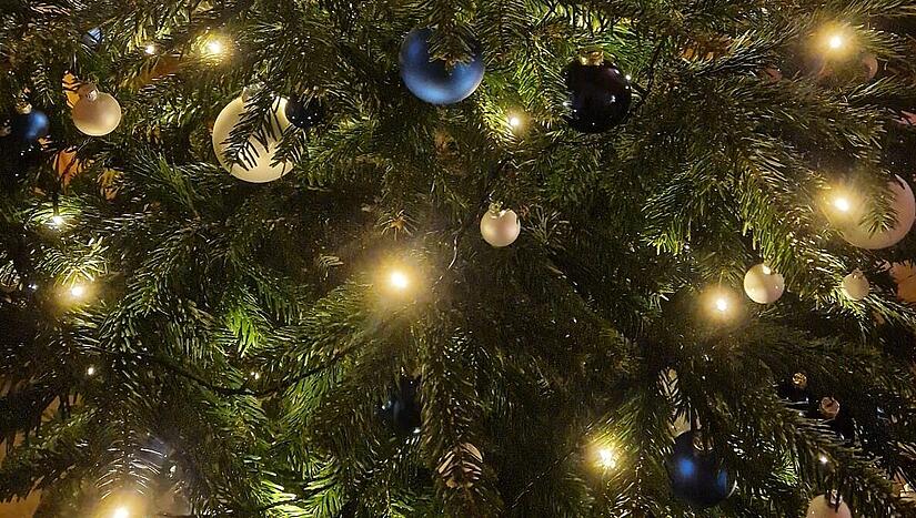 Weihnachtsbaum Marco Mei&szlig;ner