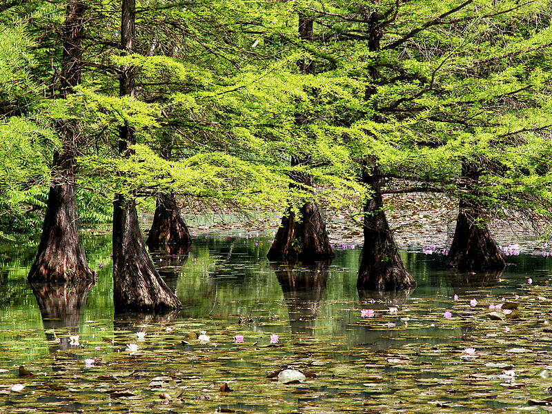 Foto "Nasse F&uuml;&szlig;e"