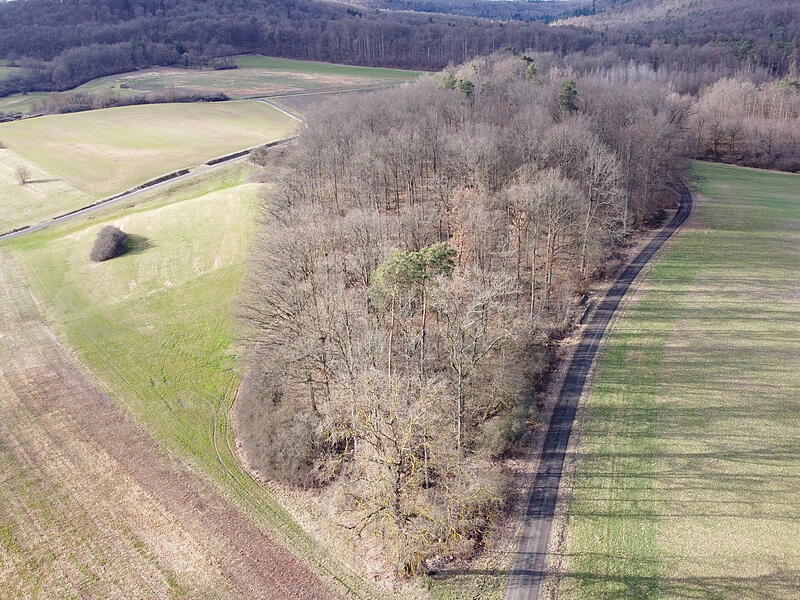 Naturfriedhof Rauhenebrach Das Waldstück, das zum Naturfriedhof wird, ist im Besitz der Gemeinde Rauhenebrach und befindet sich zwischen den Orten Geusfeld und Wustviel.