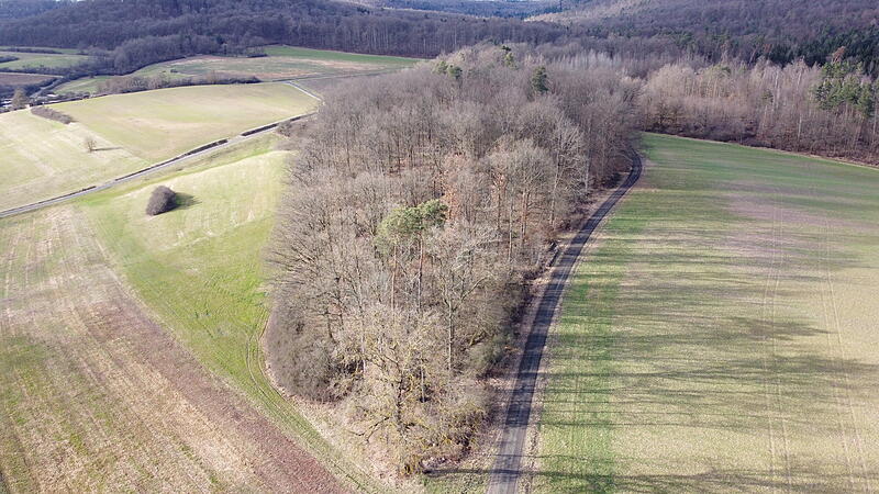 Das Waldst&uuml;ck, das zum Naturfriedhof wird, ist im Besitz der Gemeinde Rauhenebrach und befindet sich zwischen den Orten Geusfeld und Wustviel.