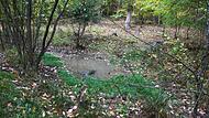 Ein Wasserrückhaltebecken speichert den Regen im Wald von Münnerstadt Ein Wasserrückhaltebecken soll den Niederschlag im Wald speichern.