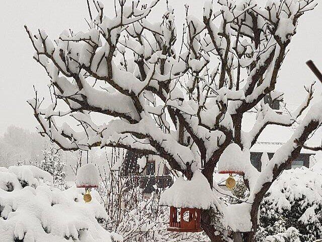 Schnee in Kulmbach: Die sch&ouml;nsten Leserfotos