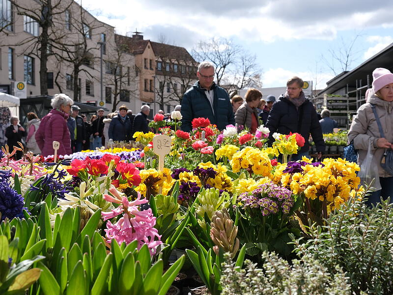 Jahrmarkt und verkaufsoffener Sonntag locken nach Forchheim