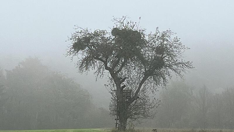 Das Herbstwetter bringt auch im Landkreis Forchheim immer wieder Überraschungen mit sich.Forchheim & Fränkische Schweiz Das Herbstwetter bringt auch im Landkreis Forchheim immer wieder Überraschungen mit sich.Forchheim & Fränkische Schweiz