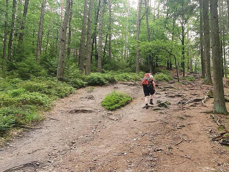 Der bergige Wanderweg