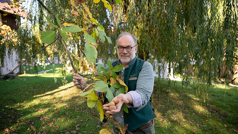 Bernd Lauterbach Bernd Lauterbach