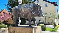 Eber in EbermannstadtForchheim & Fränkische Schweiz