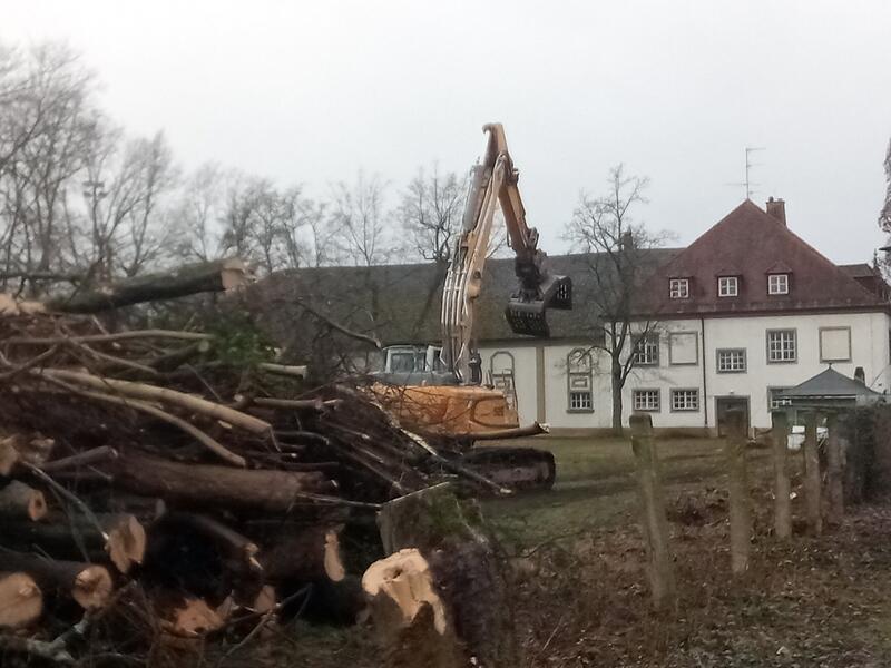 Gerodete Bäume auf ehemaligem Jahn-Gelände in ForchheimForchheim & Fränkische Schweiz Als "bauvorbereitende Maßnahme" tituliert der Investor des Philosophenviertels die Rodung zahlreicher Bäume.