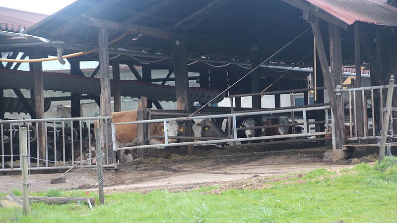 Auf diesem Bauernhof am Rand des Eckentaler Ortsteils Obersch&ouml;llenbach soll sich der t&ouml;dliche Unfall ereignet haben. Dorfbewohner sahen hier einen Rettungshubschrauber landen.