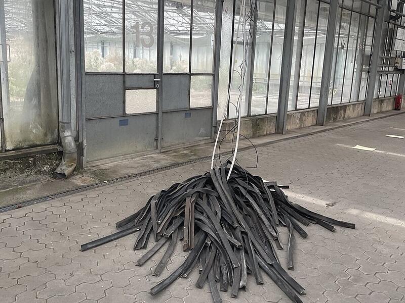 Aus dem Material im Treibhaus entstand Kunst.Führung und Offenes Atelier Aus dem Material im Treibhaus entstand Kunst.