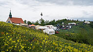 Das Walberlafest 2024. Auch dieses Jahr ist einiges geboten.