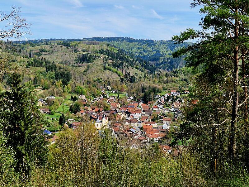 Leserfotos: So sch&ouml;n ist der Sommeranfang im FrankenwaldLeserfotos: So sch&ouml;n ist der Sommeranfang im Frankenwald
